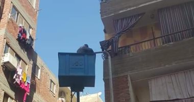 تغيير جميع كشافات الإنارة العامة بحى الأربعين فى السويس