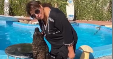 هالة صدقى تلعب مع كلب البحر.. فيديو وصور