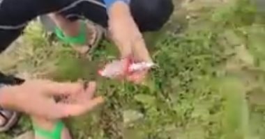 العثور على أعمال سحر و3 جثث بترعة الإسماعيلية خلال البحث عن جثمان طالب بالشرقية.. فيديو