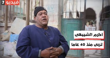 من رعب الكوليرا لكابوس كورونا.. آل الشبيهى فى خدمة مقابر الصدقة.. عم أكرم: عائلتى عاصرت الكوليرا وسقوط الطائرة الباكستانية.. ولا أنسى الطائرة بوينج 767 وقطار الصعيد.. ويؤكد: نأخذ بالأسباب ونتابع عملنا.. فيديو