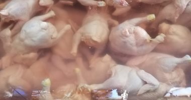 ضبط طن دواجن غير صالحة للاستهلاك الآدمى خلال حملة تموينية بقنا
