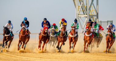الخيل معقود بنواصيها الخير ليوم القيامة.. سباق ممتع للخيول فى السعودية.. ألبوم صور