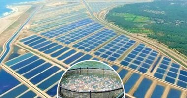 الفيروز للاستزراع السمكى قاطرة جديدة للتنمية.. برلمانيون وأحزاب يشيدون بافتتاحه اليوم ويؤكدون: استكمال لسلسلة إنجازات تنموية تشهدها الدولة فى ولاية الرئيس السيسي.. وتحقق الاكتفاء الذاتى فى الأسماك وتوفر فرص عمل