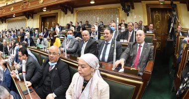 نائبة تطالب وزير الرى بحل مشاكل سكان جزر النيل بمحافظة سوهاج