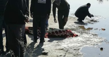 الأمن يكثف جهوده لكشف لغز وجود جثة على حدود الشرقية مع الإسماعيلية
