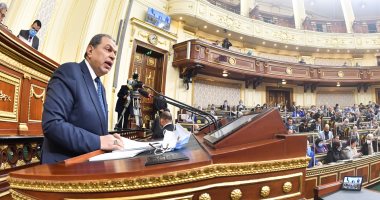 "القوى العاملة" تكشف حجم مساندة المنشآت المتعثرة 889 مليون جنيه لـ461 ألف عامل .. صور