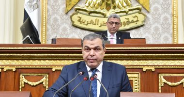 محمد سعفان: المشروعات الكبرى للدولة حلت أزمة البطالة للعائدين من العراق وليبيا 