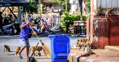 انخفاض أعداد السائحين السبب.. عصابة من 100 قرد تسرق الطعام بمزرعة فى تايلاند