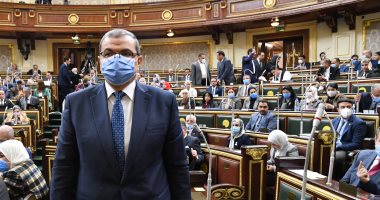 وزير القوى العاملة للبرلمان: تشغيل مليون و849 ألف شاب بالخارج.. صور