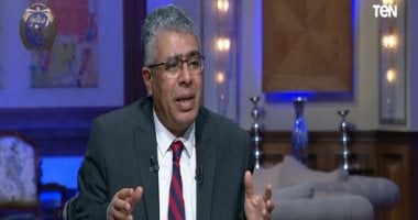 عضو مجلس الشيوخ: مصر نجت من تداعيات الربيع العربى بمهارة شديدة 