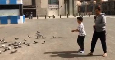 محمد رجب وابنه يوسف يطعمان الحمام فى ساحة المسجد النبوى.. فيديو وصور