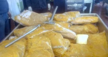 ضبط 2 طن مانجو مجمدة مجهولة المصدر قبل تصنيعها جنوب بورسعيد