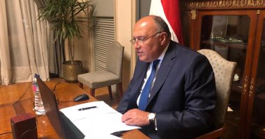 شكري يبحث مع نظيره البرازيلي التعاون الثنائي وملف سد النهضة
