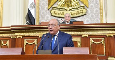 وزير الخارجية: الجماعة الإرهابية تتمتع بحرية حركة ببعض الدول الأجنبية