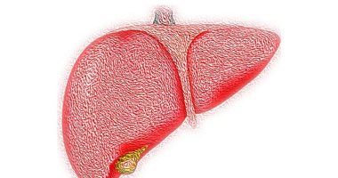 علاج وظائف الكبد المزمنة بحمض  mRNA  النووى المستخدم فى اللقاحات