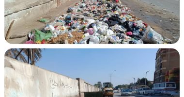 محافظة الجيزة تغلق مركزين للدروس الخصوصية وترفع 735 طن مخلفات.. صور