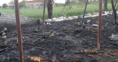 حريق يلتهم 16 ألف دجاجة بمزرعة دواجن فى كفر الشيخ.. فيديو
