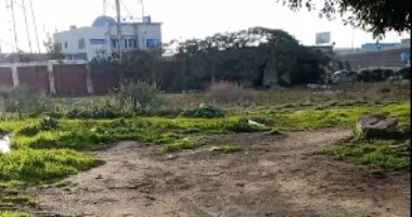 3 تلميذات يقتلن زميلتهن "حنين" بالسم لتفوقها بالإسكندرية.. فيديو لايف