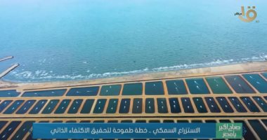 "صباح الخير يا مصر" يستعرض تقريرا عن تطور مشروعات الاستزراع السمكى.. فيديو