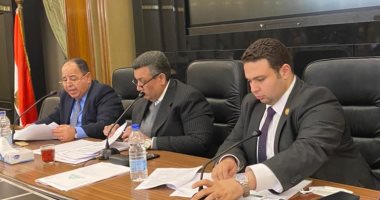 وزير المالية: الشعب يستحق الكثير.. ومبادرة الريف المصرى توفر فرص عمل للشباب  