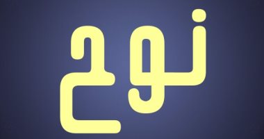 "نوح" يتصدر أسماء الذكور.. اعرف الأسماء الأكثر شيوعا في السويد 2020  