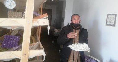 تخصيص 1000 فدان.. تفاصيل مبادرة إحياء الحرير الطبيعى بالوادى الجديد.. صور