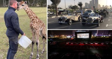 العالم هذا المساء.. انطلاق فعاليات مهرجان السيارات الكلاسيكية بشوارع الإمارات.. السعودية تفتتح أول صالة عرض سينمائى من داخل السيارات فى الرياض.. ولقطات رائعة لراعى بأستراليا يربى أكثر من 2200 حيوان.. صور