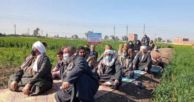 زراعة الشرقية تُنفذ مدرستين حقليتين عن زراعة محصولى القمح والفول
