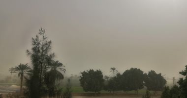 الطقس في مصر .. رياح شديدة وعاصفة ترابية تضرب محافظة الفيوم.. صور