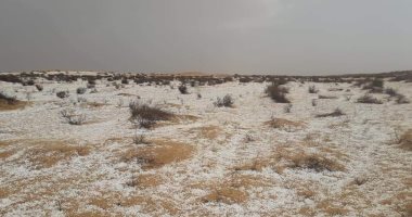 ثلوج وأمطار غزيرة على جنوب رفح ووسط سيناء .. صور