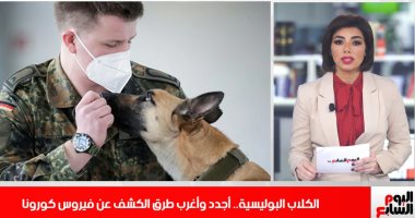 الكلاب البوليسية.. أغرب طرق الكشف عن كورونا على تليفزيون اليوم السابع