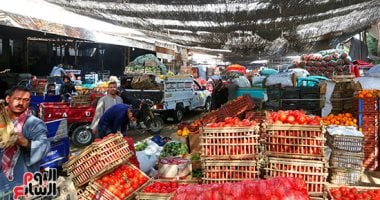 استقرار أسعار الخضروات بسوق العبور اليوم  