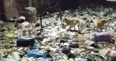 أهالى الجيزة: المحافظة تعانى من الإهمال وتدنى الخدمات وتراكم القمامة.. صور 