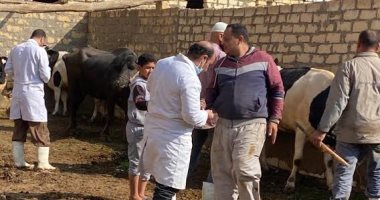 انطلاق الحملة القومية لتحصين المواشي ضد مرض الحمى القلاعية بالسويس