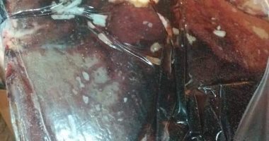 ضبط كبدة غير صالحة للاستهلاك الآدمى بحملة تموينية بالسويس.. صور