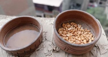 أم مصرية تطعم العصافير كاجو والسوشيال ميديا تعلق: ياريتنى كنت معاهم