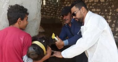 ضبط لحوم غير صالحة للأستخدام الآدمى فى الإسماعيلية.. صور