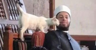 صورة قطة رافقت أسامة الأزهري كأنها تقبله بأحد دروسه في الجامع الأزهر
