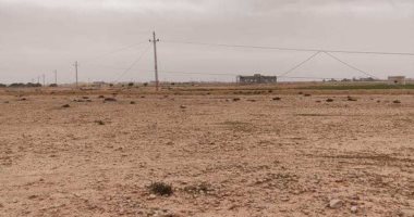 الرياح الترابية تسقط 4 أبراج خطوط كهرباء هوائية فى مطروح.. صور