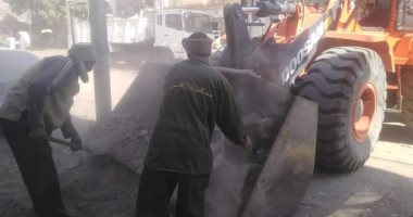 رفع مخلفات وحيوانات نافقة وأشجار فى حملة بمدينة أرمنت بالأقصر.. صور