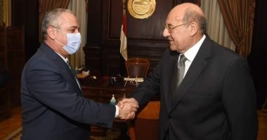 رئيس مجلس الشيوخ يلتقى عبد الصادق الشوربجى لاستعراض واقع المؤسسات القومية.. صور