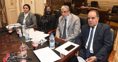 وزيرة الهجرة للنواب: صندوق رعاية المصريين بالخارج يحافظ على العمالة ويلبى احتياجاتهم.. صور
