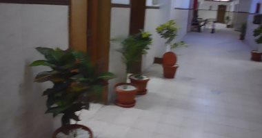 تجميل حرم جامعة بورسعيد بمزهريات خضراء تفعيلا لمبادرة الرئيس.. صور