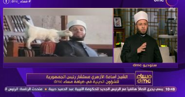لقطة اليوم.. أسامة الأزهرى عن صوره مع القطط: لدى عاطفة قوية نحوها.. صور