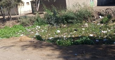 شكوى من سوء حال المصرف فى قرية الحصوة بالشرقية.. ورئيس مدينة أولاد صقر يرد