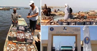 "بحيرة البردويل" بسيناء تستعد لأكبر مشروعات التطوير لاستغلال مواردها وزيادة إنتاج الثروة السمكية.. الإنشاءات الجديدة توفر فرص عمل مباشرة وغير مباشرة.. وتدشين قرية للصيادين.. وربط البحيرة بطرق جديدة.. صور