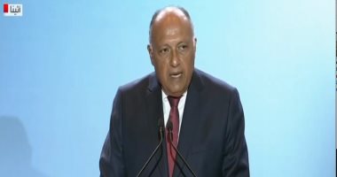 وزير الخارجية: منتدى الصداقة ليس موجها ضد أحد ونسعى لتدعيم علاقتنا مع أوروبا