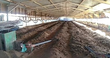 محافظ دمياط: تنفيذ إجراءات سحب وإخلاء مزرعة الصالحين للدواجن بشطا