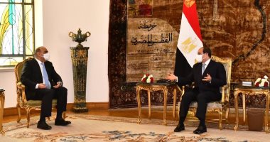 الرئيس السيسى يبحث مع رئيس وزراء الأردن تطورات عملية السلام في الشرق الأوسط.. ويؤكد التطلع لمواصلة التنسيق القائم بين البلدين على مختلف المستويات.. و"الخصاونة" ينقل تحيات العاهل الأردني 