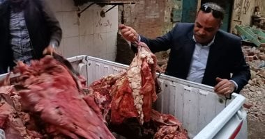 ضبط لحوم فاسدة وتشميع مخزن للتنر بالطالبية.. صور